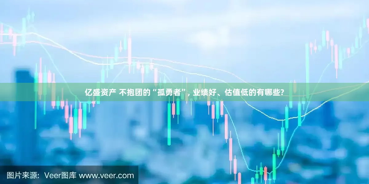 亿盛资产 不抱团的“孤勇者”, 业绩好、估值低的有哪些?