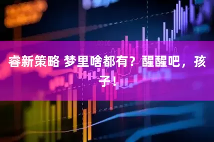 睿新策略 梦里啥都有？醒醒吧，孩子！
