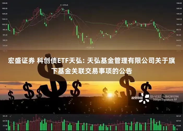 宏盛证券 科创债ETF天弘: 天弘基金管理有限公司关于旗下基金关联交易事项的公告