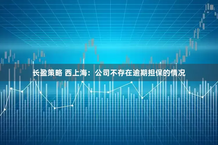 长盈策略 西上海：公司不存在逾期担保的情况